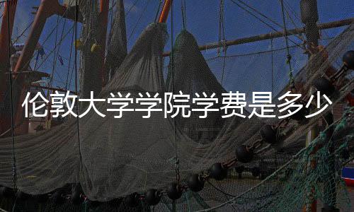 伦敦大学学院学费是多少?