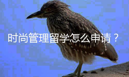 时尚管理留学怎么申请?