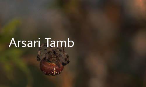 Arsari Tambang Smelter Now Uses 100 Percent Renewable Energy Electricity