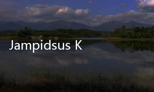 Jampidsus Kejagung Soal Laporan ke KPK: Semakin Besar Serangan Baliknya!