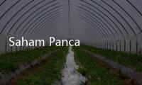 Saham Panca Anugrah (MGLV) Disetop Sementara oleh BEI untuk Cooling Down