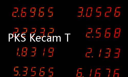 PKS Kecam Tentara Israel Culik Greta Thunberg
