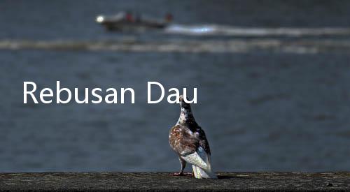 Rebusan Daun Seledri untuk Obat Apa?