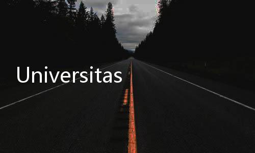 Universitas Al Azhar Indonesia dan University of Edinburgh Gulirkan Pembelajaran Disabilitas Visual